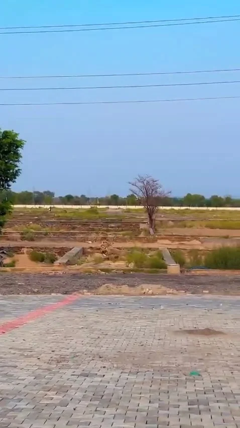 Plotted-area view from promoter-supplied Mapple Green footage